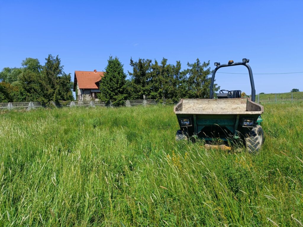 Wozidło Terrex Wynajem